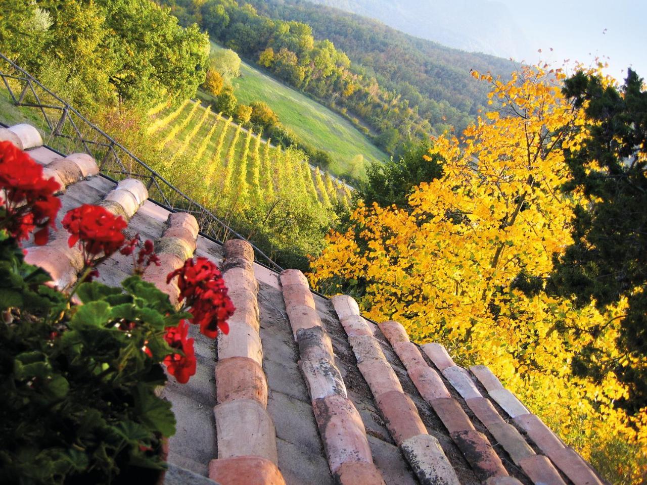 Agriturismo Borgo Ornina Villa Salutio Exterior foto